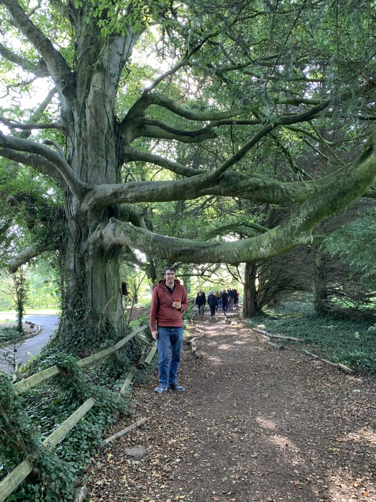 Dark Hedges