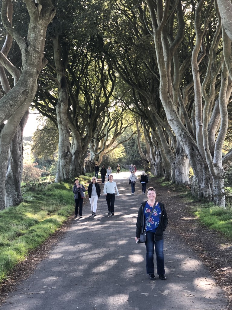 Dark Hedges