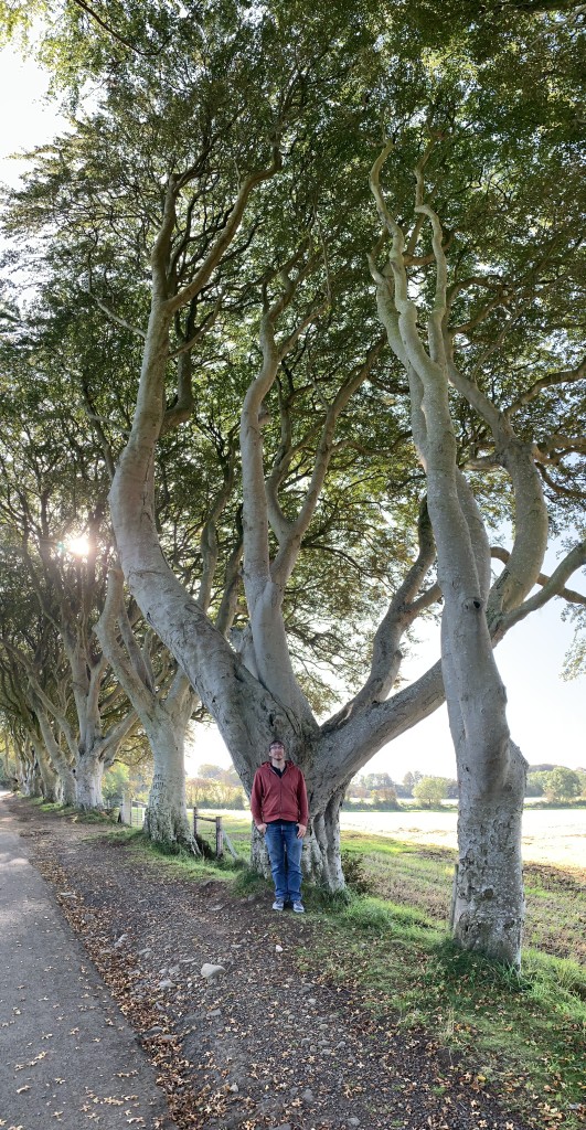 Dark Hedges