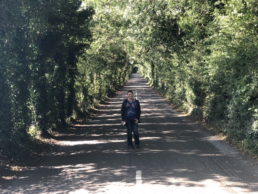 Dark Hedges