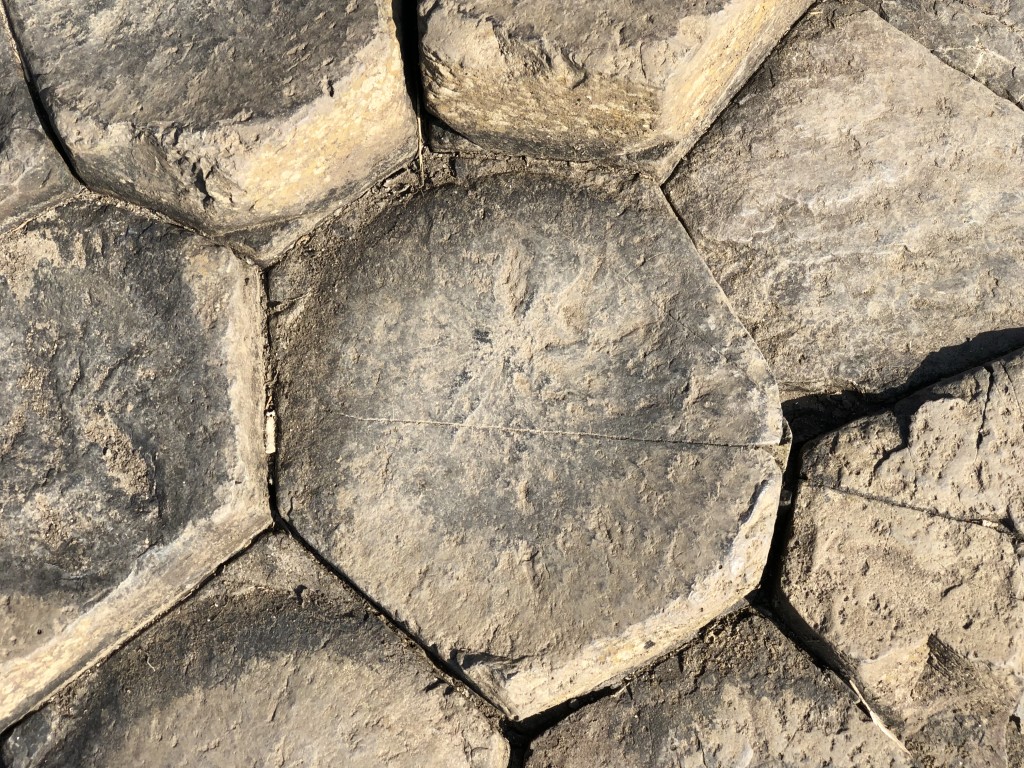 Giant's Causeway