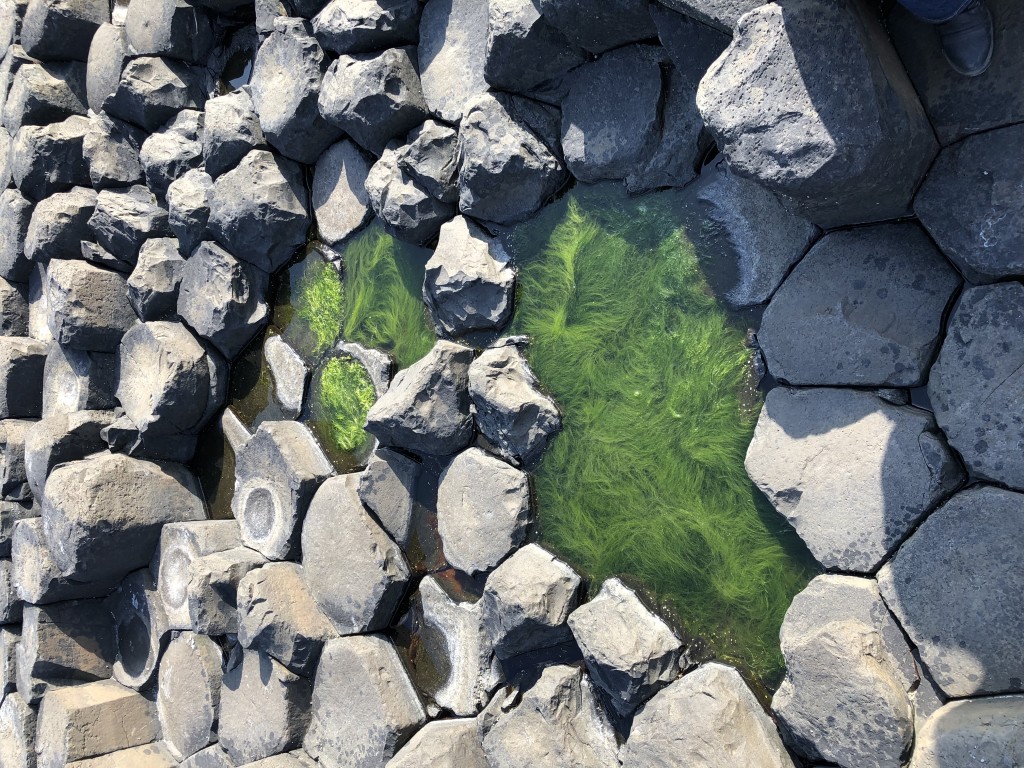 Giant's Causeway