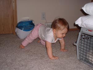 Adrianna's version of crawling