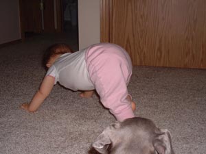 Adrianna's version of crawling
