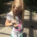 Butterfly Pavilion