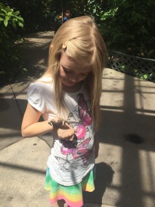 Butterfly Pavilion