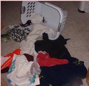 Laundry Layout created by Adrianna