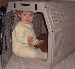 In the Doghouse