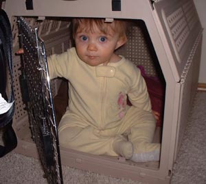 In the Doghouse