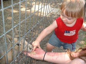 At the Promised Land Petting Zoo