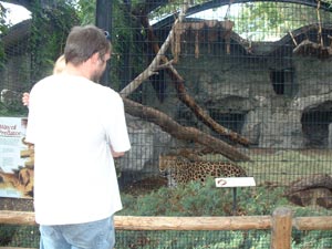 Adrianna, Greg, and a leopard at the Denver Zoo