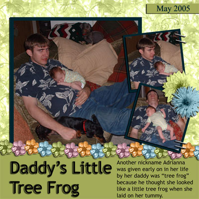 Tree Frog