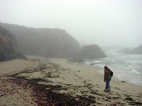 Bodega Bay