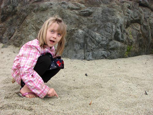 Bodega Bay