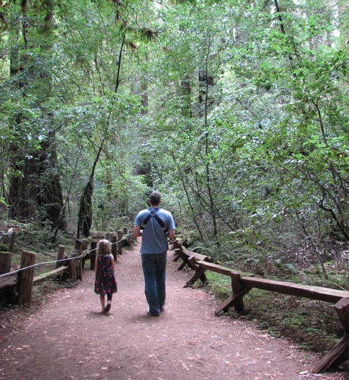 Armstrong Redwood Forest
