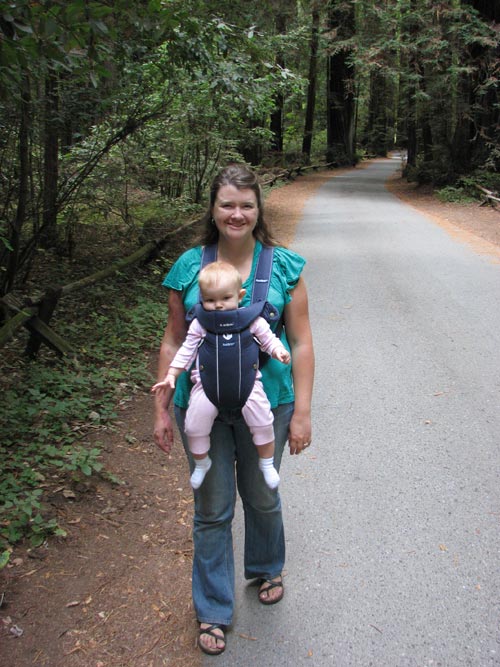 Armstrong Redwood Forest