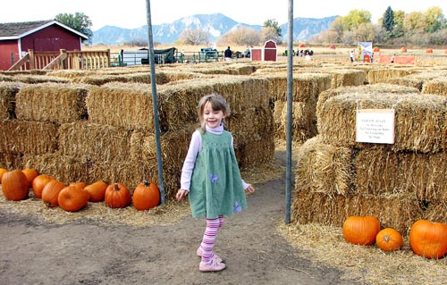 Haybale Maze