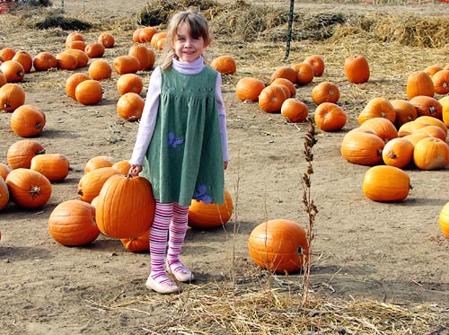 Picking out a pumpkin