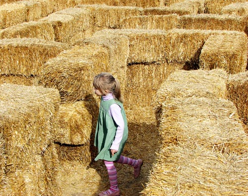 Haybale Maze