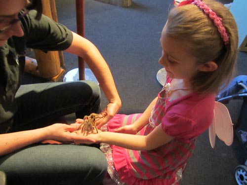 Holding Rosie the Tarantula