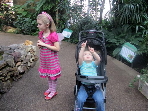 Pointing out the butterflies
