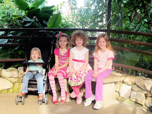 Bree, Adrianna, Audrey and Laura